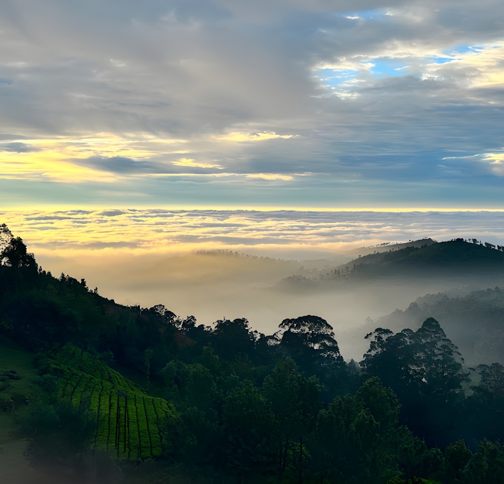 Ooty resorts for family valley view rooms
